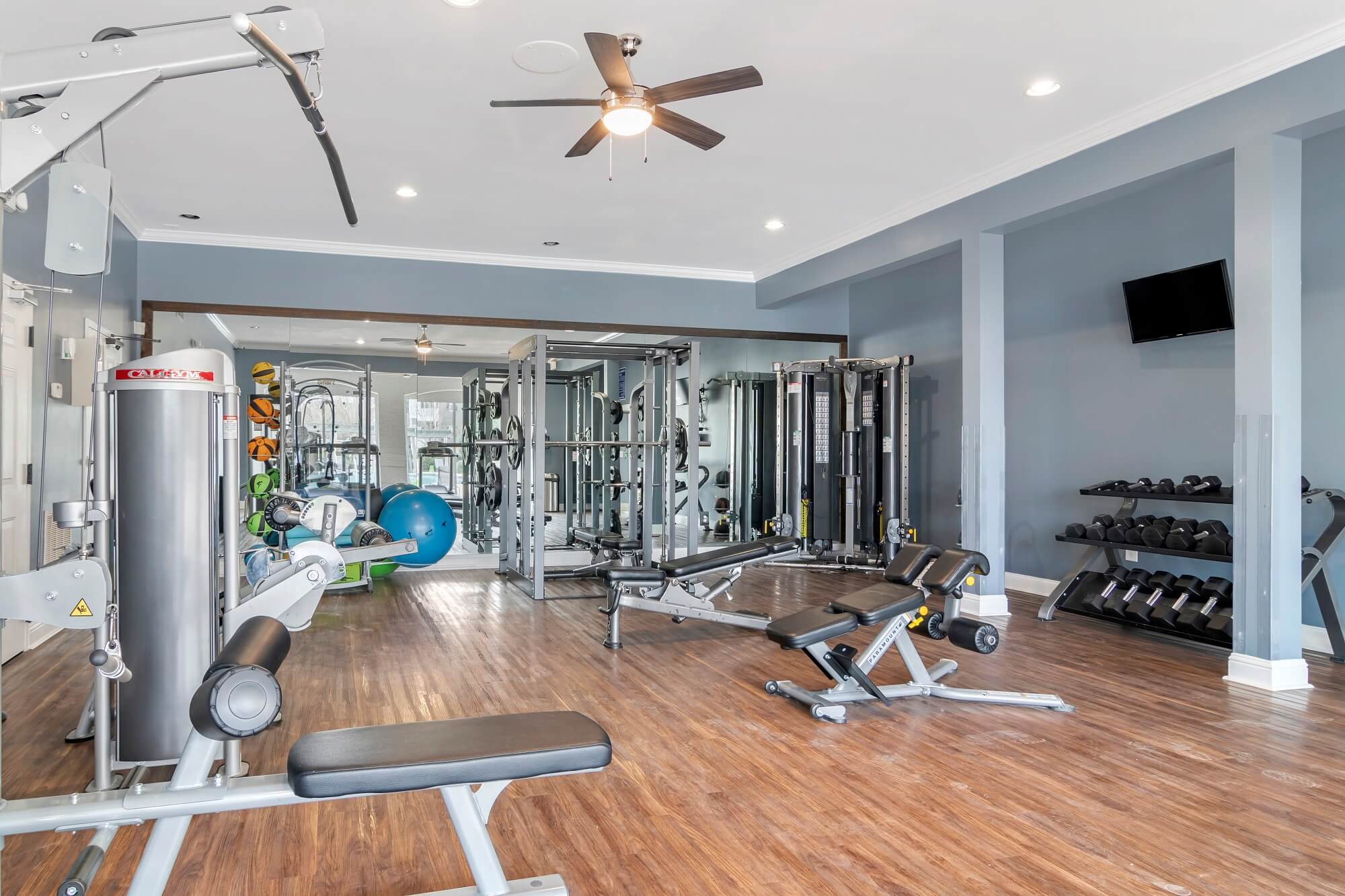 Fitness center with free weights and machines