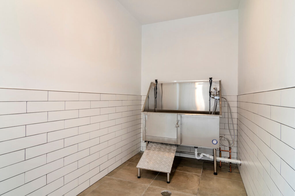 Pet wash station with tub and hose